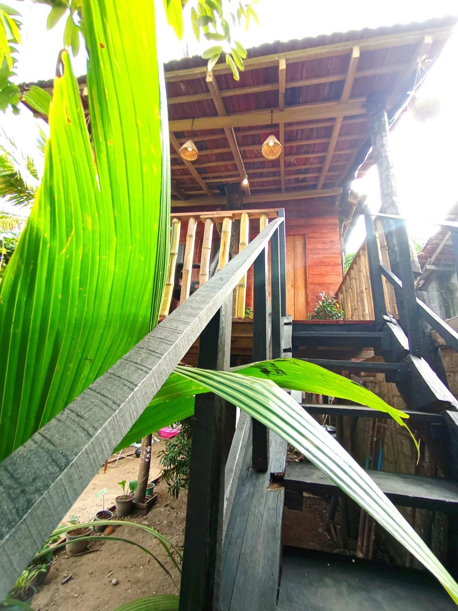 Вилла Parrot Tree House Мирисса Экстерьер фото