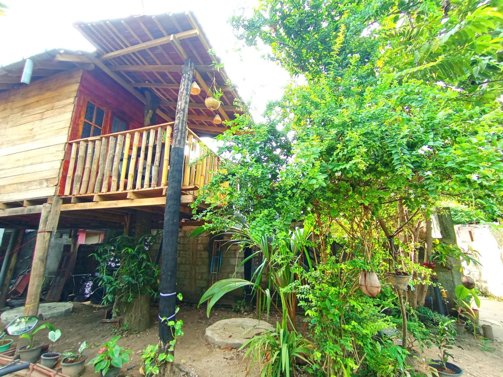 Вилла Parrot Tree House Мирисса Экстерьер фото