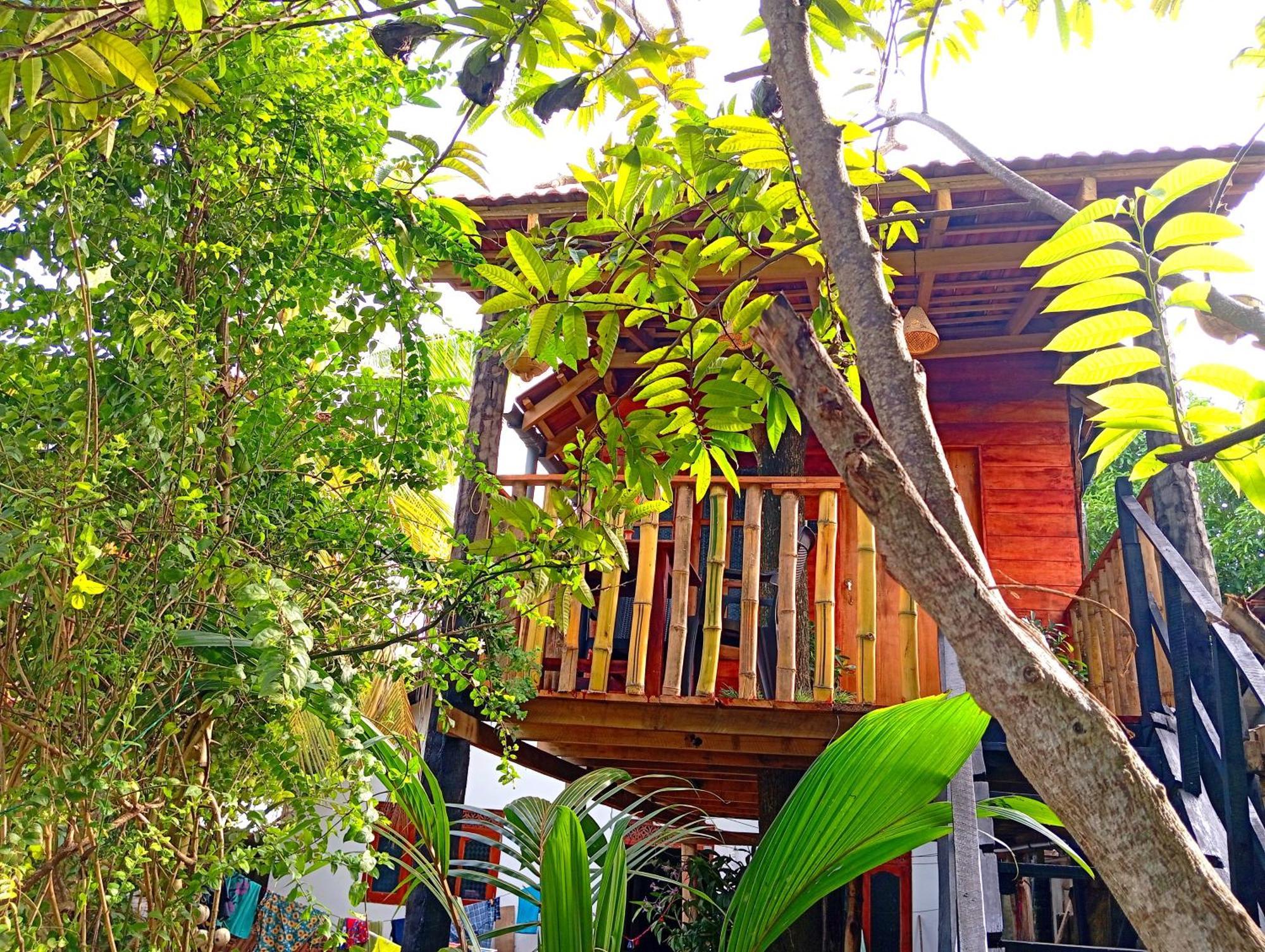 Вилла Parrot Tree House Мирисса Экстерьер фото