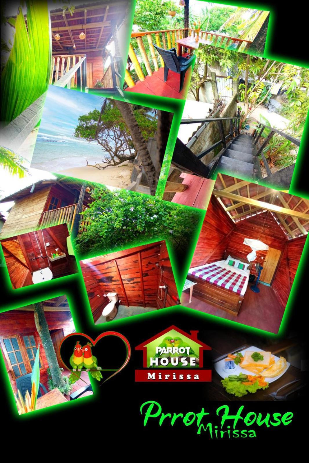 Вилла Parrot Tree House Мирисса Экстерьер фото